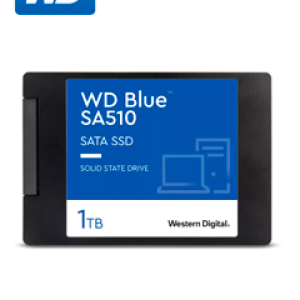 WD Blue SA510 WDS100T3B0A - SSD - 1 TB
