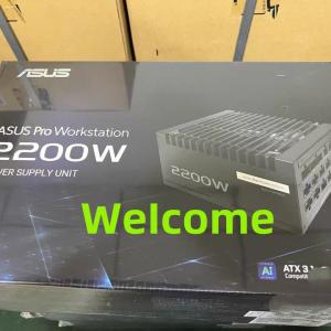 ASUS Pro WS 2200W Platinum PCIe 5.0 ATX Modular PSU